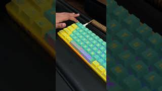 SpongeBob Mechanical Keyboard Sound Test #spongebob #mechanicalkeyboard #keeb