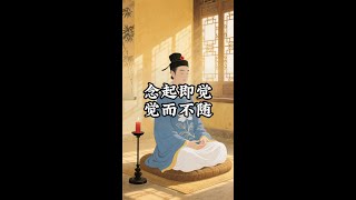 时时提醒自己念起即觉，觉而不随。#修心修行#佛法 #人生感悟 #禅意生活