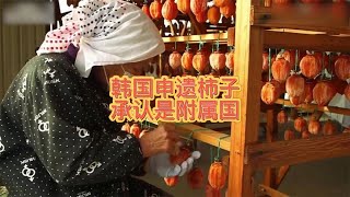 为了申遗柿子饼，韩国网友承认了韩国是中国的附属国！