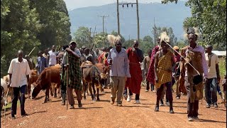 KHUKHAALA KIMIKOYE(BUKUSU ELDERS’ FINAL RITES). DAY 3/Demolishing Deceased’s House #africanculture
