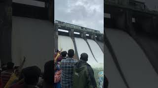 Dam Opening Video|Malampuzha Dam Palakkad|Kerala Tourist places|#kerala#youtubeshorts #instagram