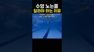 수영할때 노는 물이 달라야 하는 이유