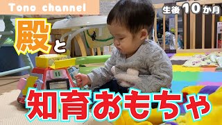 【生後１０ヶ月】知育おもちゃで遊ぶ赤ちゃん【育児記録】