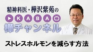 ストレスホルモンを減らす方法【精神科医・樺沢紫苑】
