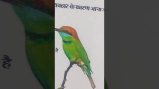 #love #song #status #hindisong #video #videotags #funny #vlog #comedy