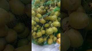 Fresh Dates #shorts #arabfreshdates