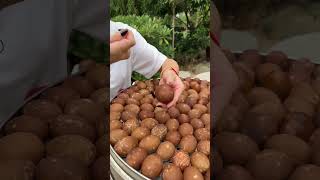 Beautiful Nature with Rural Life #877