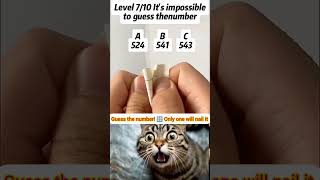 Guess the number 🤔 524/541/543 #cat #shorts