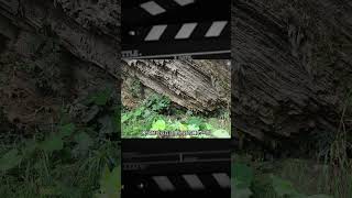 堅強的阿德找到臨時的庇護所，鋪好草席上山找木薯回來烤著吃