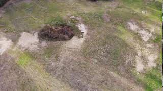 Video issues Mavic Air