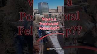 What is a Postdoctoral Fellowship? #postdoctoral #postdoc #university #ucalgary
