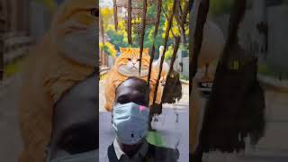 #viralvideo #usatrends #trend #usa #viralshort #usaviral #trending #1600meterruntipsinhindi