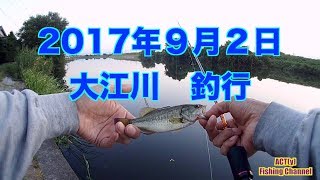2017年９月２日　大江川　釣行動画