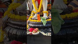 Hanuman Jayanti #hanuman #hanumanjayanti #hanumanji #shorts #short #shortvideo #viralvideo #festival
