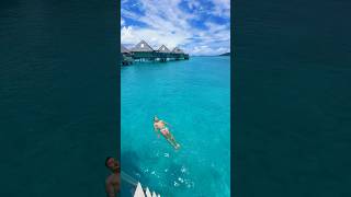 Imagine spending your vacation here 😱😍 #travel #borabora #beach