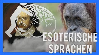 Über Brainfuck, Orang-Utans und co. 💻 Esoterische Programmiersprachen