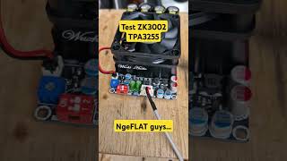 Test ZK 3002 TPA3255 PurePath HD #shorts