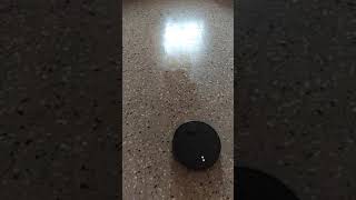 Mi robot vacuum mop P moping the house 🏡🏠 #shorts #mirobot