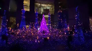 Japan - Tokyo 2019 Christmas 日本東京汐留2019聖誕點燈 阿拉丁 Aladdin Speechless