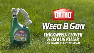 How to Get Rid of Use Chickweed, Clover & Oxalis Using Ortho® Weed B Gon® Ready-To-Spray