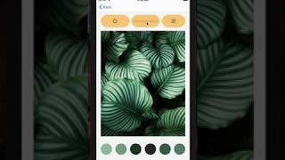 Harvard's CS50x Final Project (iOS track) - Art Everyday App