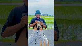 Cute baby cricket 🏏☠️ #shortsyoutube #shortvideos