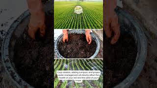 Boost Crop Yield with Effective Soil Management | Spring Scientific | Proven Farming Practices