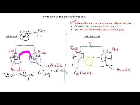 How to draw voltaic and electrolytic cells?