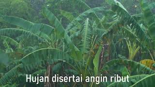 Penambahan Teks ke Video dengan Filter Text