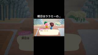 【あつ森】明日はララミーの...#shorts