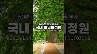 50년 만에 개방된 아름다운 비밀의 정원🌲