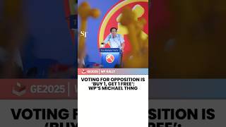 Voting for opposition is ‘buy 1, get 1 free’: WP’s Michael Thng | GE2025