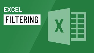 Excel: Filtering Data