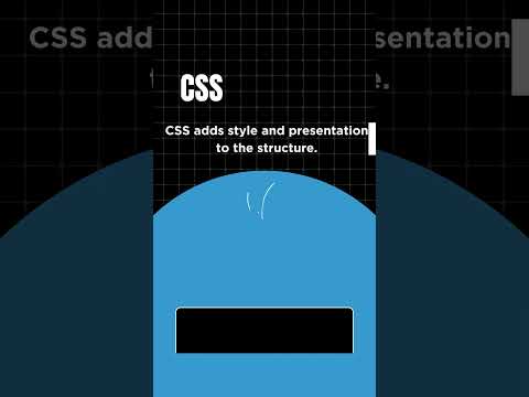 Web Wizardry 101: Unveiling the Essentials of Web Development