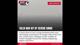 Delhi NCR Hit by Severe Smog – AQI Soars to Dangerous Levels