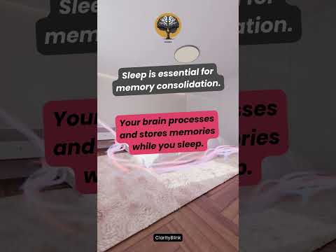 7 Memory Tricks You’ll Wish You Knew Sooner #brainhacks #memoryboost #brainpower