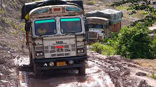 Dangerous Crossings: The Struggle Along the Brahmaputra