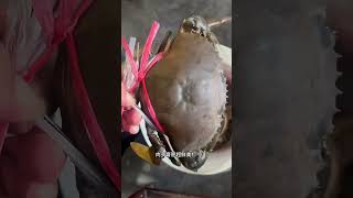 青蟹的营养价值很高，富含蛋白质、不饱和脂肪酸（尤其是ω-3脂肪酸和DHA）、维生素B12等。中医认为青蟹具有化瘀止痛、利水消肿、滋补强壮的功效，可用于产后腹痛、乳汁不足、体虚水肿等。