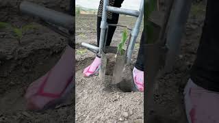 Rural Farmer #7813