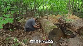 #荒野建造 #野外建造 #庇护所建造