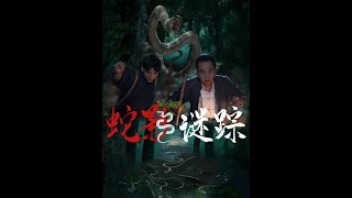【超清完結】《蛇影谜踪》全集#短劇全集 #熱門#熱門短劇推薦 #短劇 #旋转汤圆 #热门短剧#狂婿 #重生 #女頻 #短剧全集 #短剧推荐 #必看陸劇短劇推薦#最火