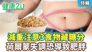 【特輯】減重要小心！燕麥奶、杏仁豆腐、加工食品藏糖分！醫師分享瘦身菜單！荷爾蒙失調恐導致肥胖！｜健康2.0 #鄭凱云 #陳欣湄 #韋汝 #游能俊醫師 #魏士航 醫師  #陳君琳 減重醫師