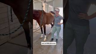 THIS HORSE MADE AN AMAZiNG RECOVERY! 🙏🐴❤️ #pemf #horses #horsecare