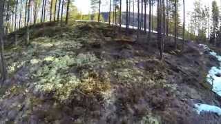 Mouse trail