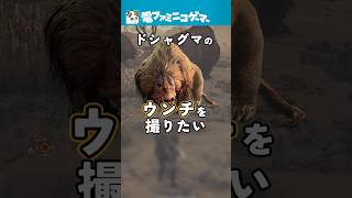 『モンハンワイルズ』ドシャグマのウンチが豪快で、イイ！ #モンハンワイルズ #モンハン #モンスターハンターワイルズ #ドシャグマ #mhw #電ファミ