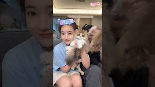Cute Live part 1🩵 白昕怡朱一未🎠🔒🔒#白昕怡朱一未 #baixinyi_zhuyiwei #zhuyiweibaixinyi #chunhatvibachhandi #cdrama