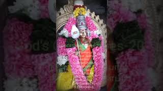 23செப்டம்பர்2024 தேய்பிறைசஷ்டி முருகன் வழிபாடுபாடல்|முருகன் பாடல்கள்| #சஷ்டி #கந்தசஷ்டிகவசம் #முருகா