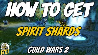 How To Get GW2 Spirit Shards | Quick Guide For Beginners