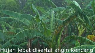 Editing Video Shotcut dengan Filter Text Open Other