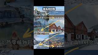 喜欢沉浸在属于自己的安静角落里  终于有人把北海道旅游说清楚了 北海道 海道 北海道旅游 北海道旅行 北海旅游攻略 #日本旅行攻略 #日本地接 #京都老司机 #旅行团 #专业导游